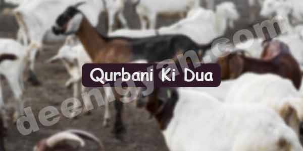 Qurbani Ki Dua in Hindi