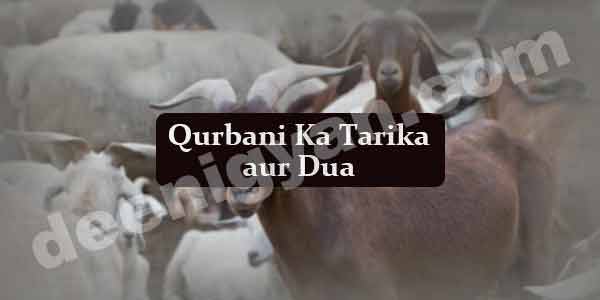 Qurbani Ka Tarika